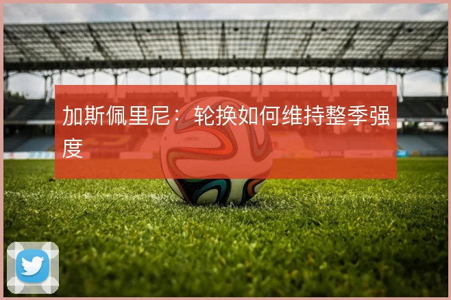加斯佩里尼:轮换如何维持整季强度