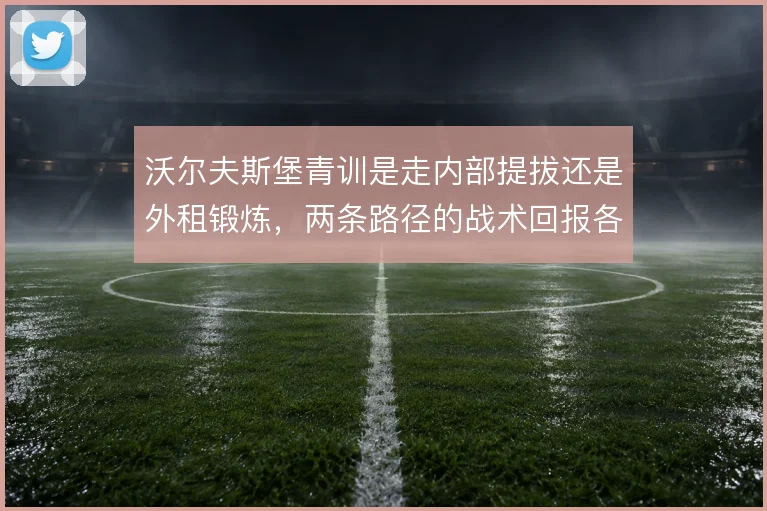 沃尔夫斯堡青训是走内部提拔还是外租锻炼，两条路径的战术回报各有取舍