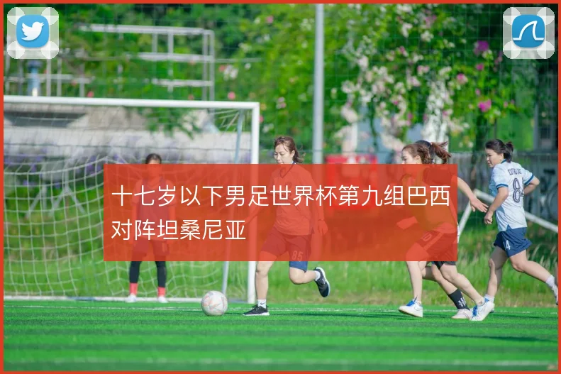 十七岁以下男足世界杯第九组巴西对阵坦桑尼亚