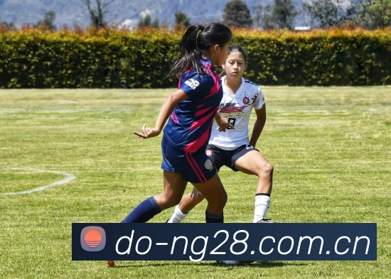 NG28APP 封面图